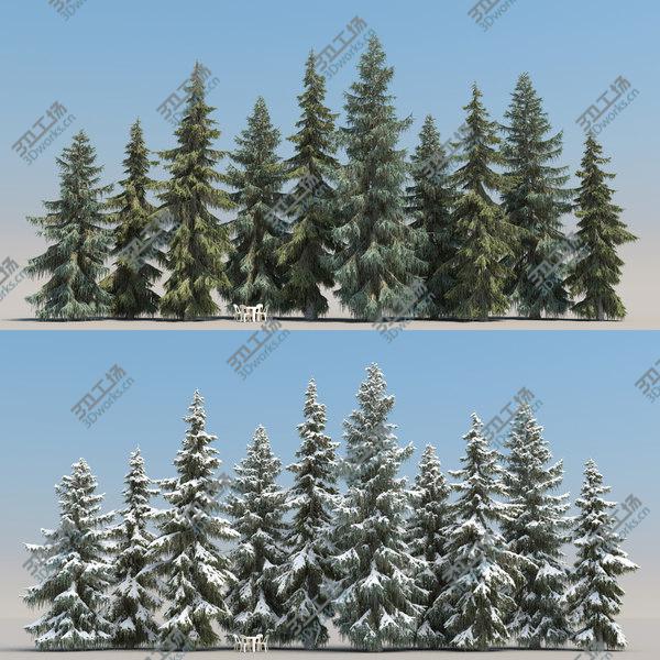 images/goods_img/20210312/10plus10 Brewer Spruce 3D model/1.jpg